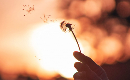 PsiGlobal – Transformación e innovación en Salud Mental 